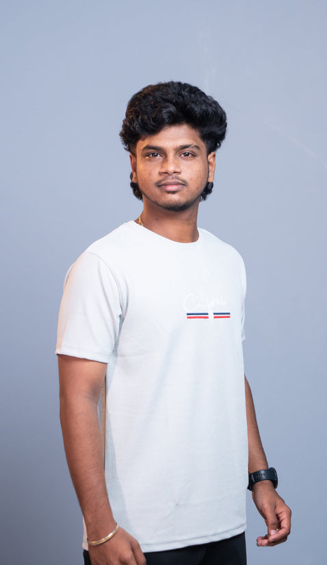 Half Sleeve Round Neck CALIFORNIA Printed Tshirt for Men - Ash