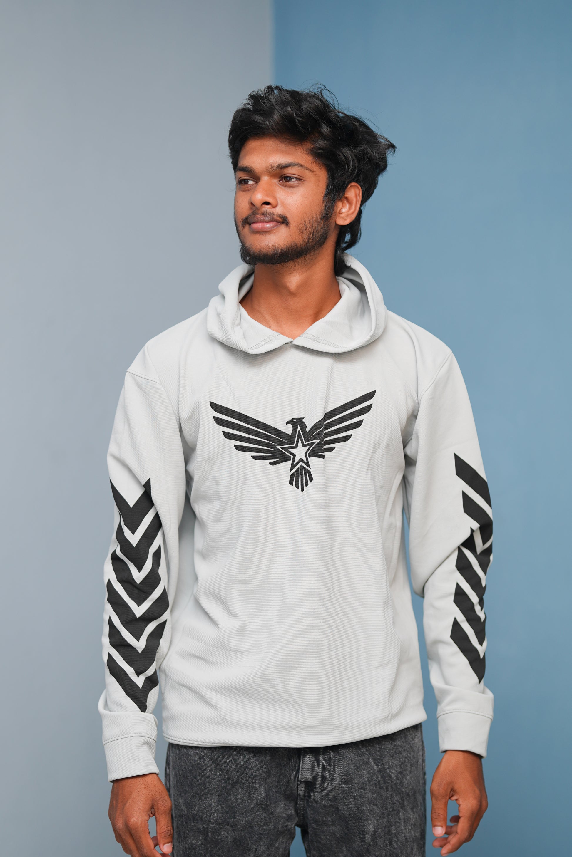 Men’s Full Sleeve BIRD Printed Hoodie | Oversized Winter Hoodie for Men - Ash