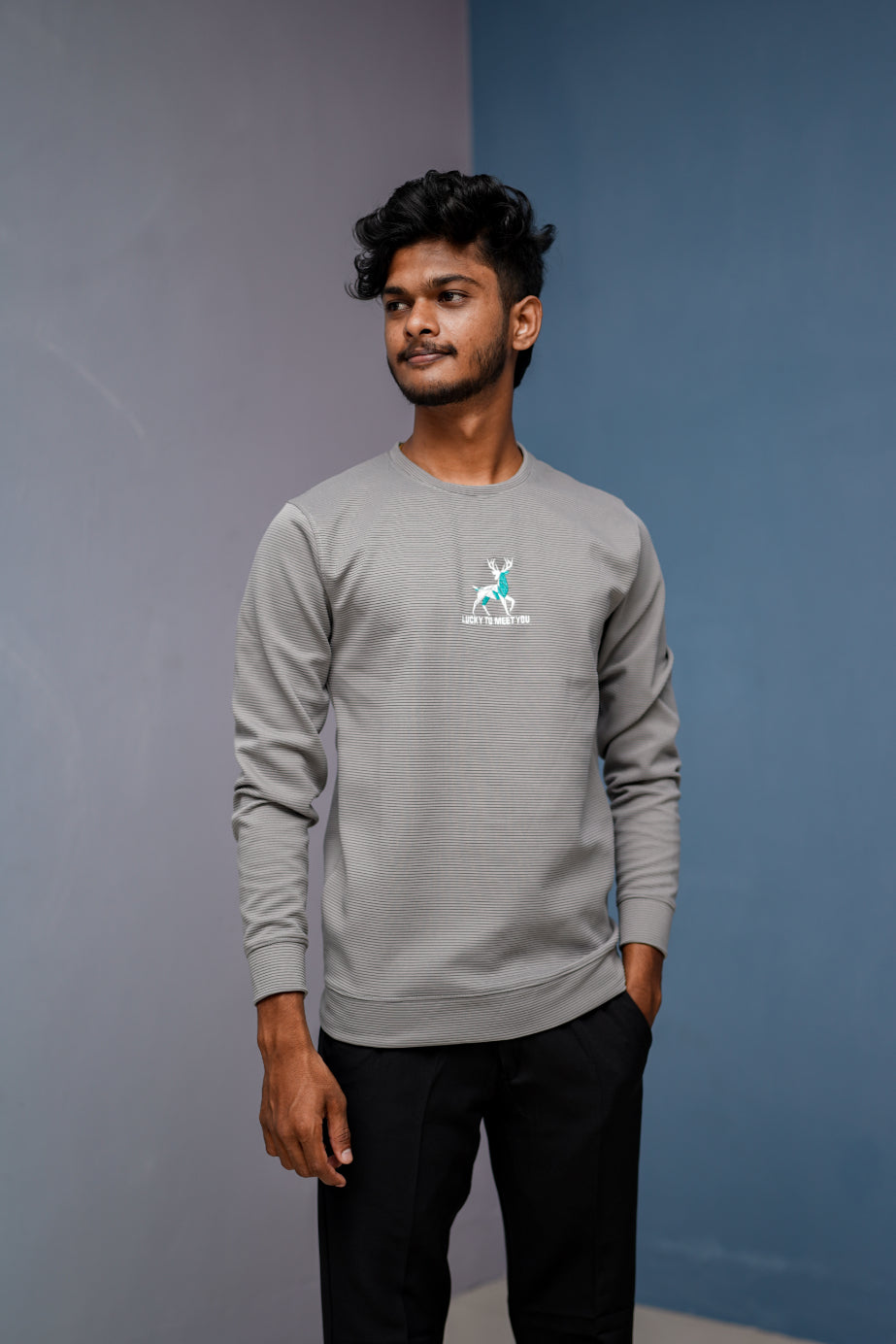 Full Sleeve Round Neck Printed Tshirt - LUCKY TO MEET YOU-Ash