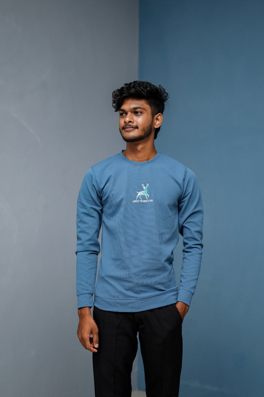 Full Sleeve Round Neck Printed Tshirt - LUCKY TO MEET YOU-Sky Blue