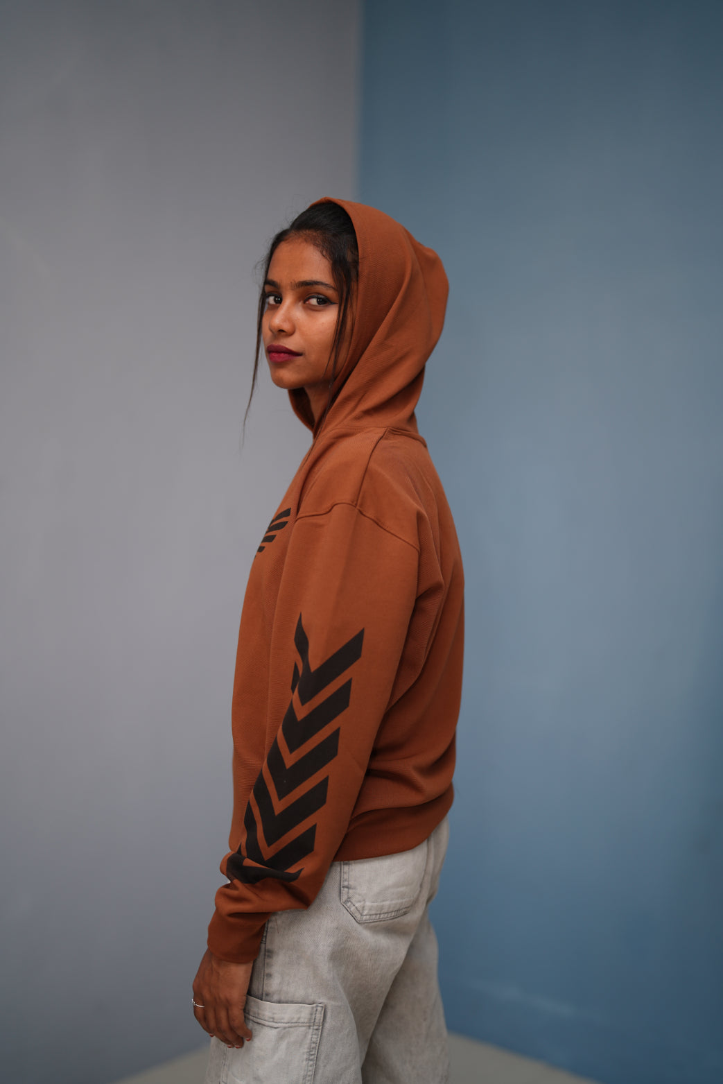 Men’s Full Sleeve BIRD Printed Hoodie | Oversized Winter Hoodie for Men - Dark Brown