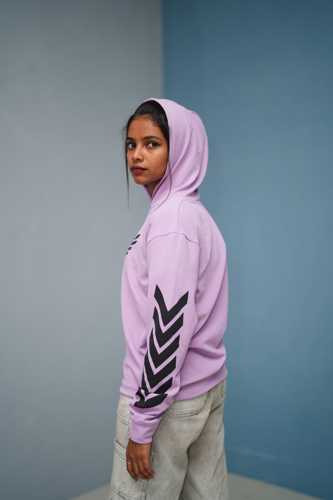 Men’s Full Sleeve BIRD Printed Hoodie | Oversized Winter Hoodie for Men - Purple