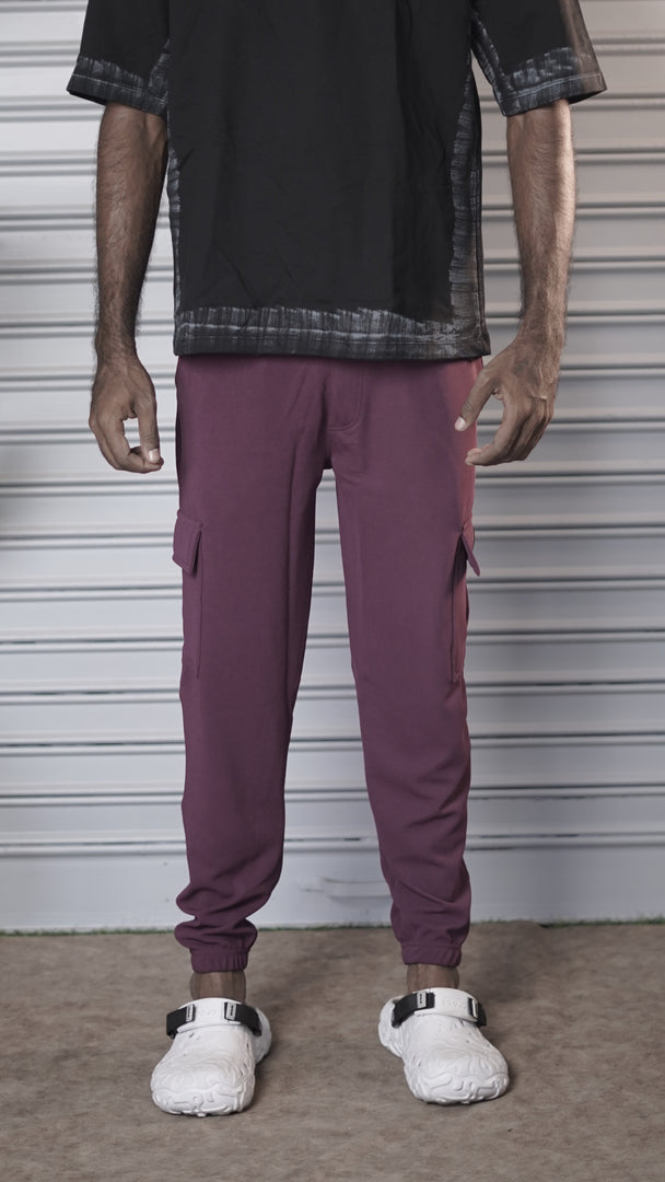 Regular Fit Men's Ottoman Cargo Track Pant - Grape shade